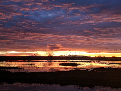 Bosque del Apache NWR Entrance Station