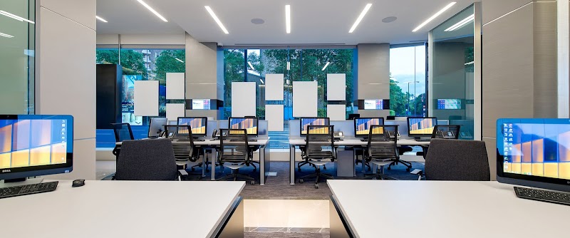 Liv International photo 3