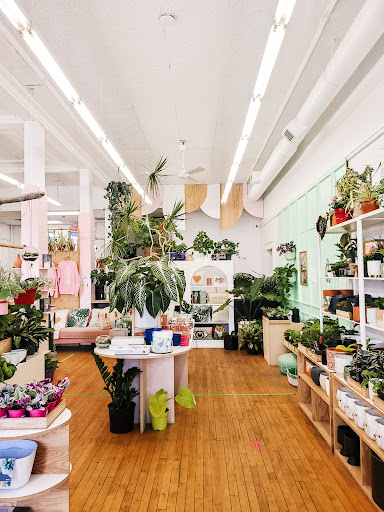 Verde Plant & Candle Bar