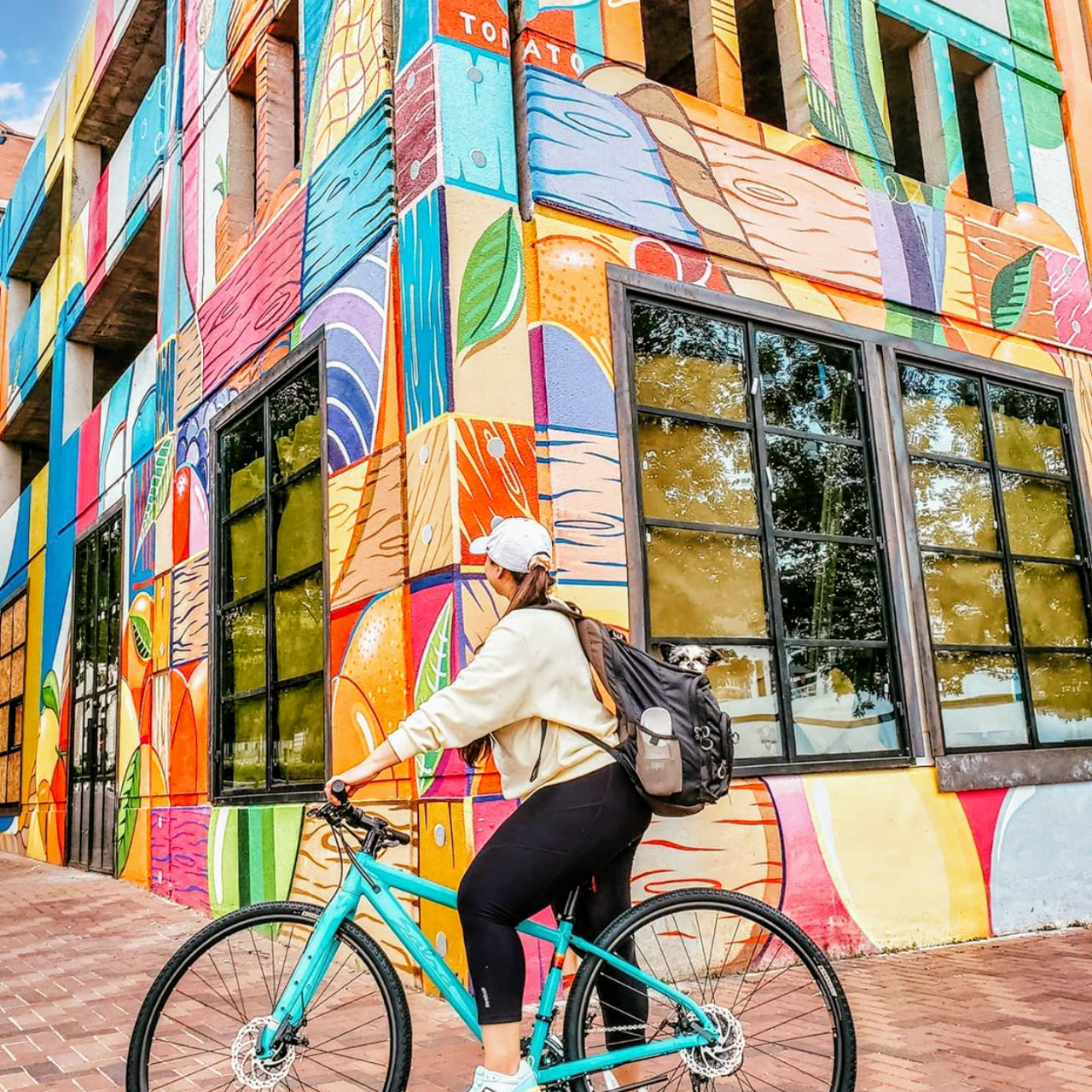 Urban Bicycle Gallery Houston’s Local Bike Shop Call For Curbside