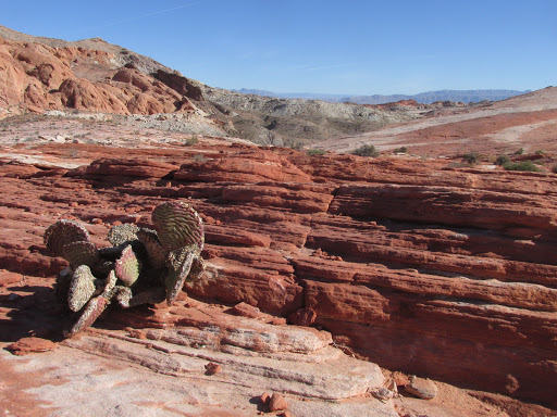 Fire Canyon / Silica Dome Gallery - United States