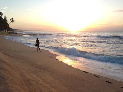 Photos of Asha Beach Ayurveda Spa
