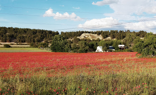 Valdemoro - Visual