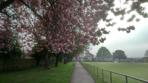 Illingworth Park - Thumbnail
