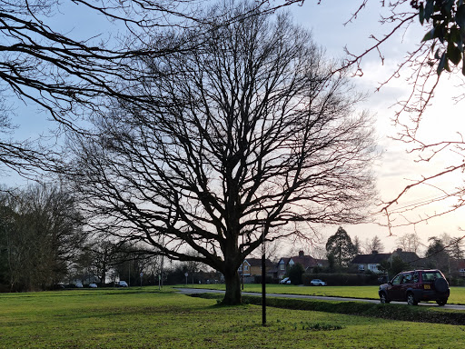 Broadham Green - Visual