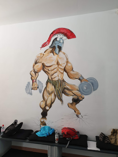 Coliseum Gym - Visual