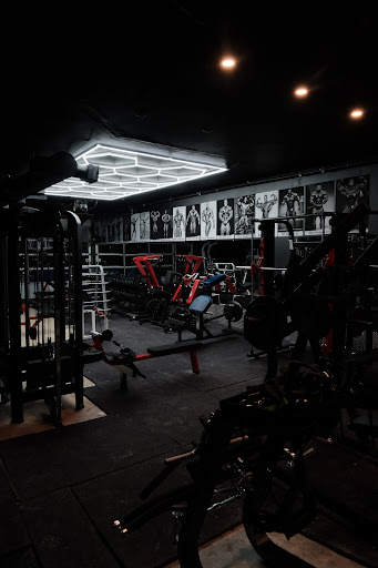 Gym Evolve - Visual