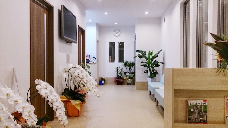 万場山どうぶつ病院