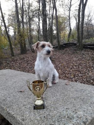 Photo n°10 de Pension Canine Élevage Des Terres Plaines à Joux-la-Ville (Éleveur)