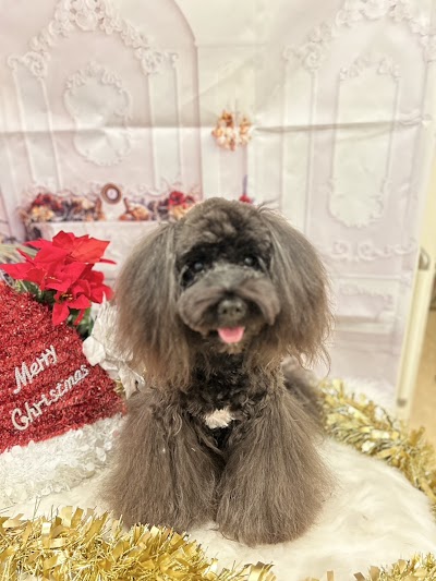 wann's plus（ワンズ・プラス）～東姫路～