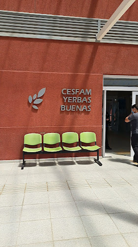 Opiniones de Cesfam Ignacio Carrera Pinto en Yerbas Buenas - Hospital