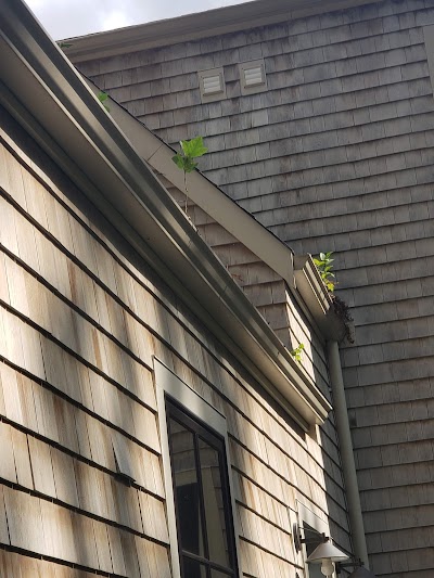 Roslindale Roofing and Gutters