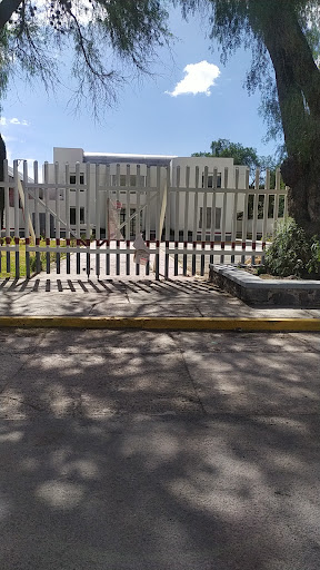 centro de atencion a victimas de la violencia CAVVI DIF - Thumbnail