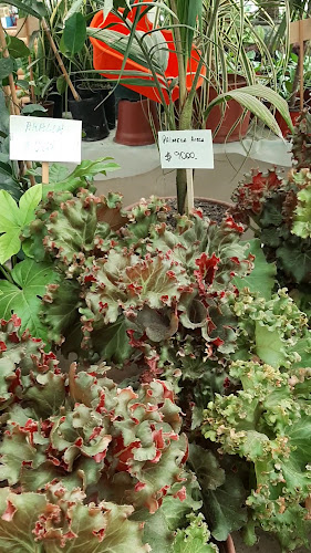 Horarios de Jardin agroflor