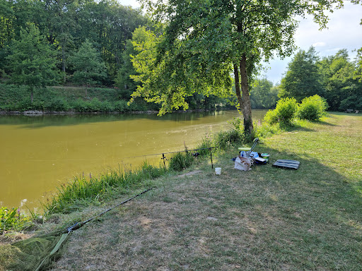 Photo de Plan d'eau de la Grenouillère