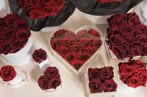 GRACE Flowerbox - Visual