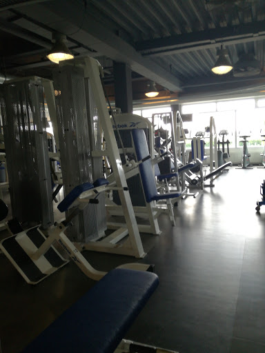 alphafit