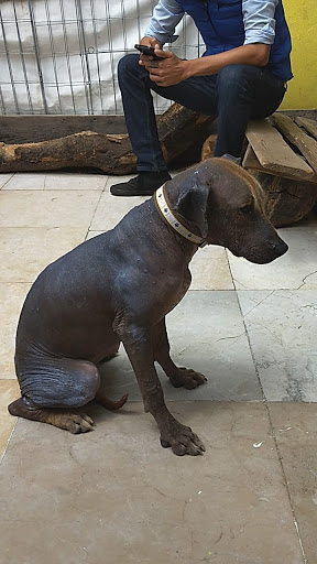 Clínica Veterinaria Kan