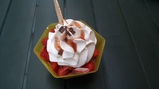 Eis - Meyer - Visual