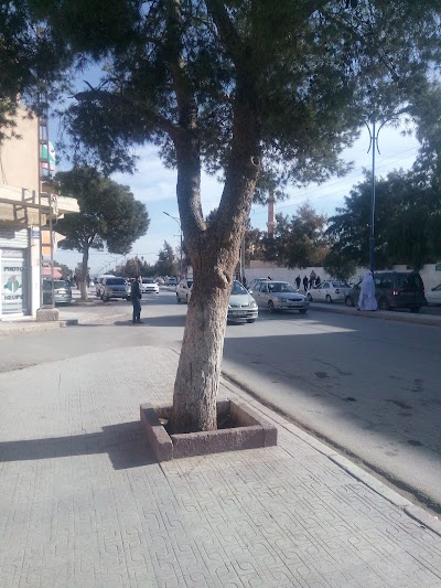 Photos of barkani