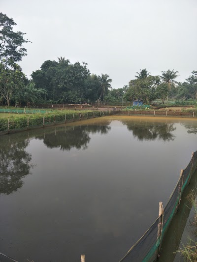 Photos of D'Lisdin 2 Cibinong