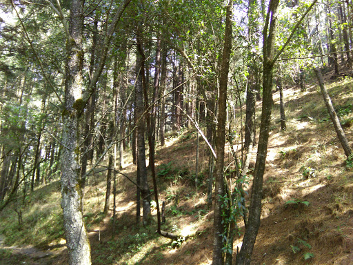 Parque Eco-Turistico Santa Maria Mazatla - Thumbnail