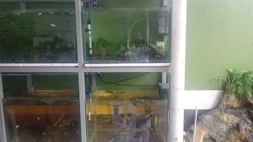 Aquarium Naturaleza Acuatica - Thumbnail
