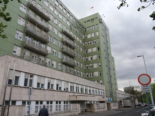 Országos Baleseti és Sürgősségi Intézet-Orvosi Könyvtár, Author: Margit Kovacs