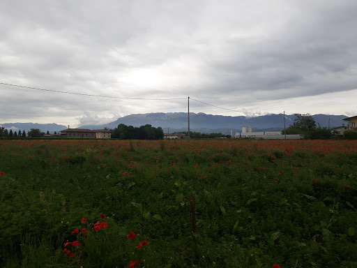 Dantomio Giuseppe - Visual