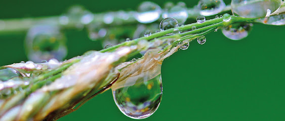 Vízvizsgálat, ivóvíz tanácsadás - Vízkutató Vízkémia Laboratórium és Doulton víztisztító képviselet