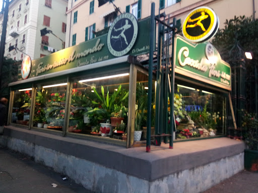 Mario's Cacciola sas to Mario's Veneselli - Thumbnail