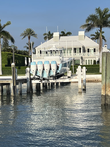 Manatee Queen - Visual