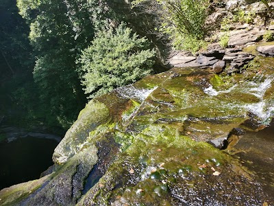 Soak Creek State Scenic River