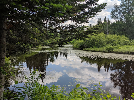 Marais du Nord (Les) - Thumbnail