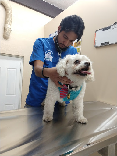 Exotic Animal Health