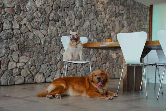 Tolani Resort Kui Buri by null