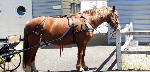 Hippodrome Gournay en Bray