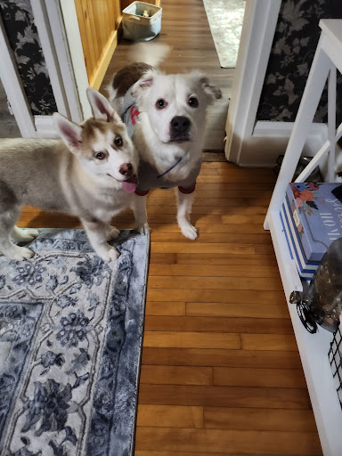 Thousand Island Animal Hospital