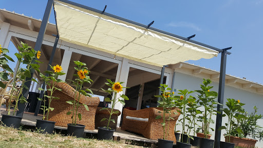 Forcatella Camper - Visual