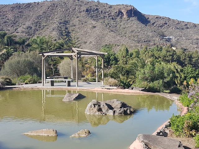 Jardín Botánico Canario Viera y Clavijo