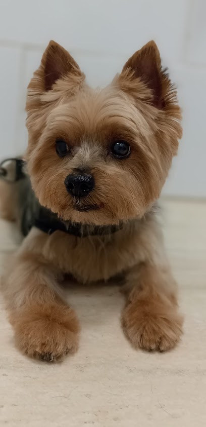 Clínica Veterinaria AMETS