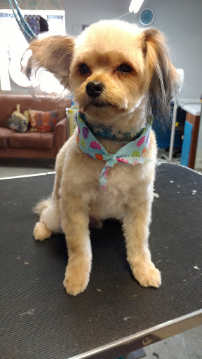 Fluffy Puppy Salon - United States