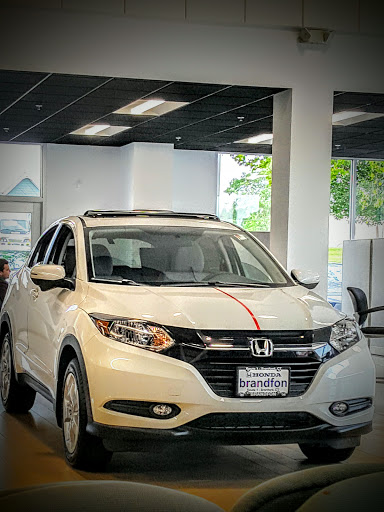 Brandfon Honda - Thumbnail