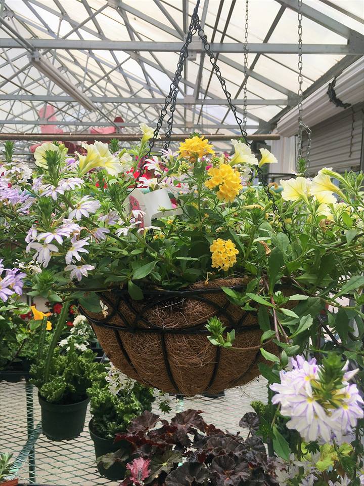 Walnut Ridge Nursery & Garden Center