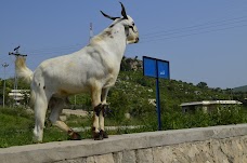 Zam Zam Dera Restaurant sargodha