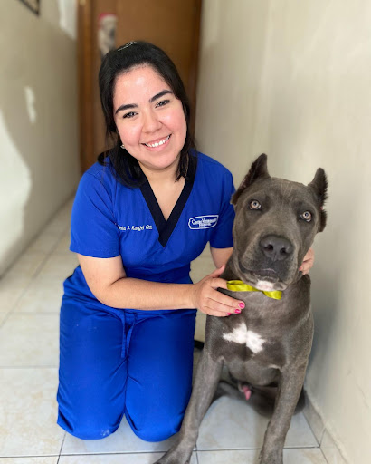 Centro Veterinario Esquivel