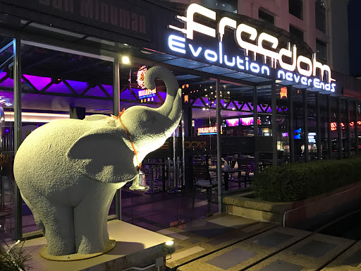 Freedom Ultimate Club