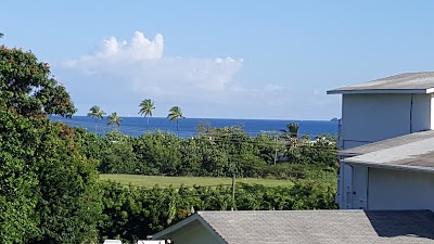 Photos of Siesta Hotel