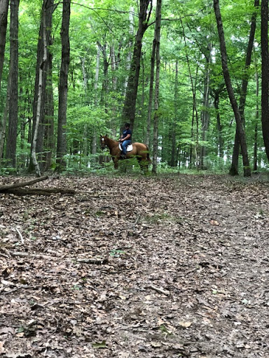 Temple Equestrian Center at Mason Lane Farm - Thumbnail
