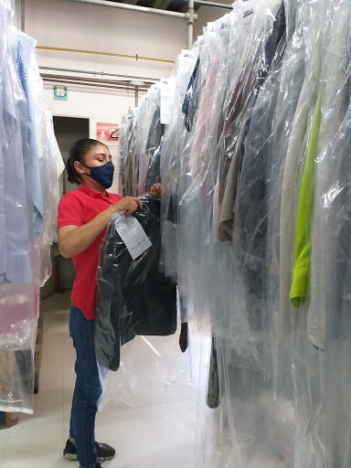Dry Clean Campanario - Thumbnail